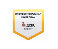 Профессиональная настройка Яндекс Директ